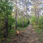 Romantic Tiny House With Private Pool & Fenced Garden - Pet Friendly Apartman *