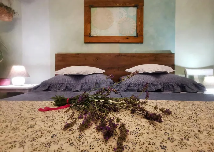 Romantic Tiny House With Private Pool & Fenced Garden - Pet Friendly