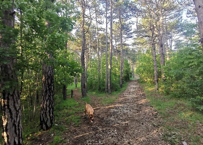 Romantic Tiny House With Private Pool & Fenced Garden - Pet Friendly Apartamento *