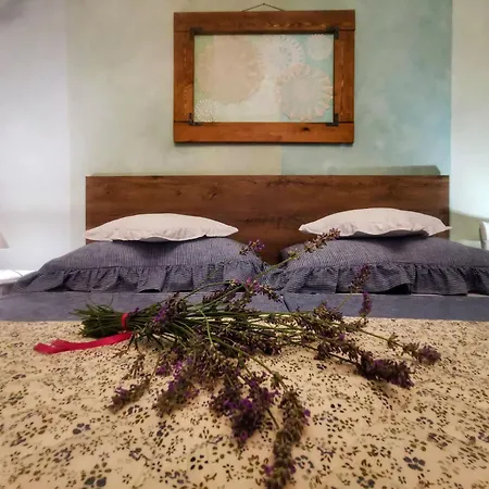 Romantic Tiny House With Private Pool & Fenced Garden - Pet Friendly