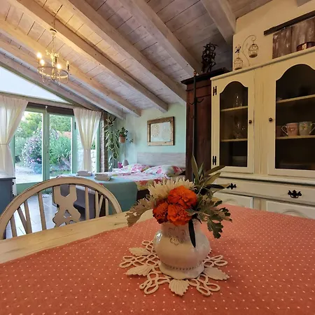Romantic Tiny House With Private Pool & Fenced Garden - Pet Friendly Apartment