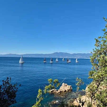 Romantic Tiny House With Private Pool & Fenced Garden - Pet Friendly Apartment